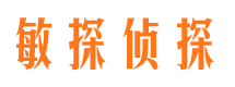 洛浦侦探